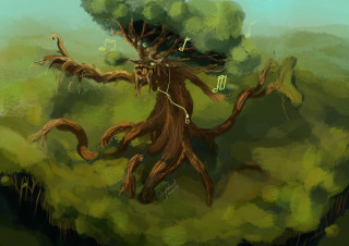 Tree musical notes forest branch - the middle of a forest free wallpaper for desktop