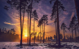 Sunset woods house trees snow - atmospheric free wallpaper for desktop