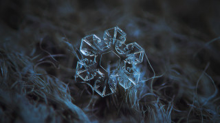 Snowflake grass night macro water - a snowflake free wallpaper