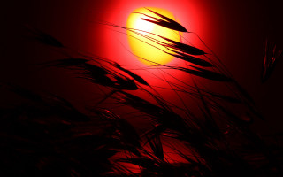 Red light silhouette moon sunset - a red light in the background free wallpaper