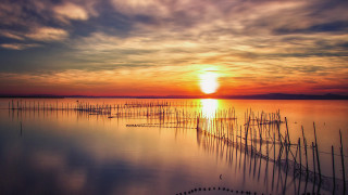 Sunset water poles boats crepuscular - arthur pan free wallpaper