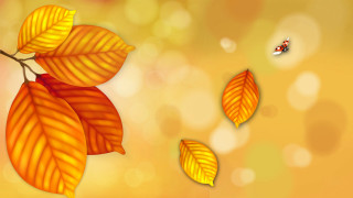 Ladybug flying over leaves autumn - a lady bug free wallpaper