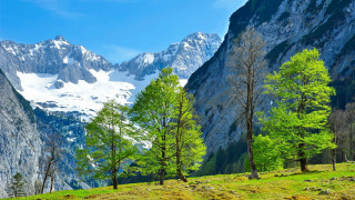 Mountain range trees snow capped 2 - the foreground and a snow free wallpaper