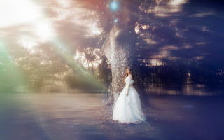 Woman white dress tree light - a light shining free wallpaper for desktop