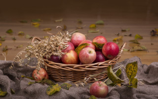 Basket apples leaves cloth harvest - a basket of apples free wallpaper