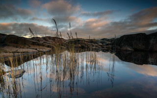 Pond reeds sky rocks cityscape - a few rock free wallpaper