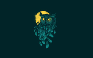 Owl moon green background pop - free bird wallpaper