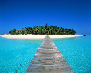 Wooden dock island beach palm - a wooden dock free wallpaper