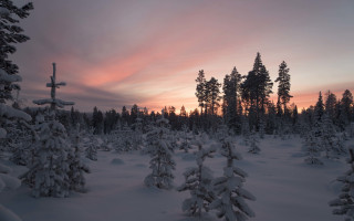 Snowy landscape trees sunset clouds 4 - tree and a sunset in the background free wallpaper
