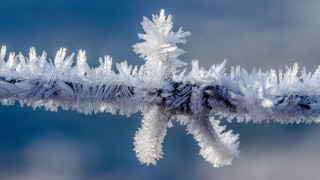 Branch ice blue sky macro - temporary art free wallpaper