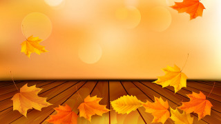 Wooden floor leaves autumn moon - a bunch of leaves free wallpaper