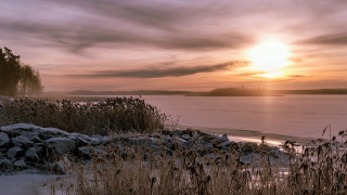 Sunset lake snow shore trees - a few bush free wallpaper