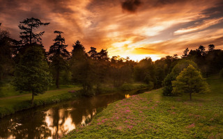 River forest sunset pinkflowers naturallism - a lush green forest under a cloudy sky free wallpaper