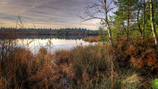 Lake trees grass clouds autumn - free landscape wallpaper