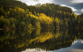 Lake trees clouds reflections autumn - a few cloud free wallpaper for desktop