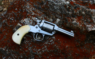 Revolver rock mossy background autumn - a wooden handle free wallpaper