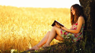 Woman sitting under tree reading - a yellow sky in the background free wallpaper