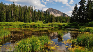 Small pond trees mountain clouds - a small pond free wallpaper for desktop
