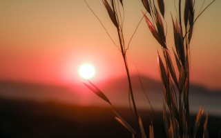 Sunset moon red sky grass - e. william gollings free wallpaper for desktop