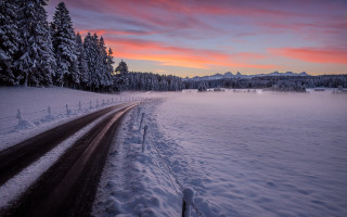 Snowy road forest sunset matte - florianne becker free wallpaper for desktop