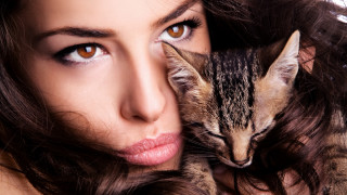Woman cat portrait art stock - her shoulder free wallpaper
