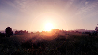 Sunset lake forest trees field - beeple free wallpaper