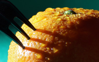 Orange fork macro photorealistic autumn - center free wallpaper