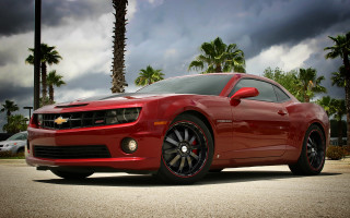 Red sports car palm trees 3 - dark cloud free wallpaper for desktop