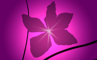 Purple flower light petals butterfly - a black outline free wallpaper for desktop