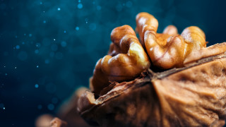 Nuts water droplets table bokeh - nuts free wallpaper