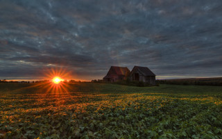 Sunset house field sunflowers clouds - a house in a field free wallpaper