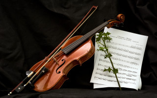 Violin sheetmusic rose black background - beautiful composition free wallpaper
