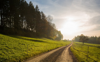 Dirtroad lushfield forest sunset city - shining free wallpaper