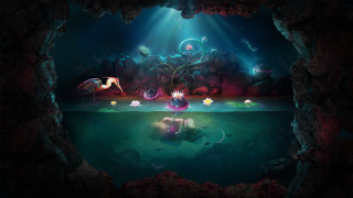 Cave pond fish light glowing - cyril rolando free wallpaper