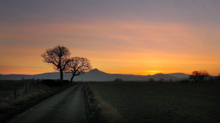 Dirt road tree sunset mountains - a tree in the middle of it free wallpaper