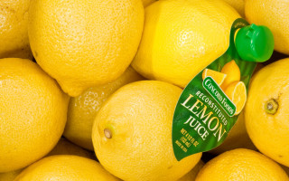 Lemons green top squeezer still - a green top free wallpaper