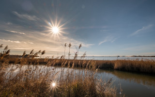 Sunshine marshy landscape cityscape lake - the foreground and a body of water free wallpaper for desktop
