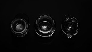 Lens types macro photograph portrait - a white background free wallpaper