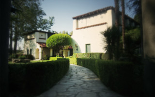House hedge path tiltshift nature - back view free wallpaper