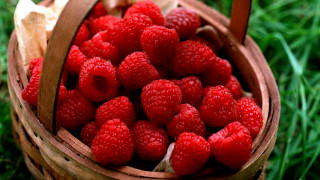 Raspberry basket grass sun wooden - a wooden handle free wallpaper