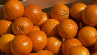 Orange pile box table neoplasticism - a pile of oranges free wallpaper