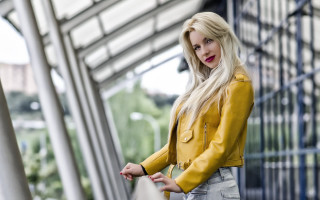 Yellow jacket fence portrait blurry - a yellow jacket free wallpaper