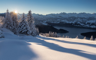Snow mountain lake trees sun - shining free wallpaper