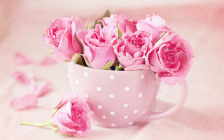 Pink polka dot coffee cup - pink rose free wallpaper for desktop