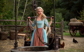 Woman dress bird chicken rococo - a woman in a dress free wallpaper for desktop