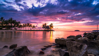 Sunset tropical beach palm rocks - arthur pan free wallpaper