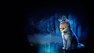 Cat hat fish forest light - a light shining free wallpaper for desktop