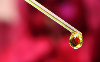 Water drop yellow red stick - stick free wallpaper