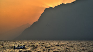 Boat birds sunset mountain ocean - bird free wallpaper for desktop