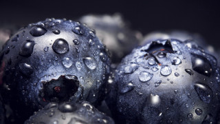 Blueberries water droplets black background - free rain wallpaper for desktop